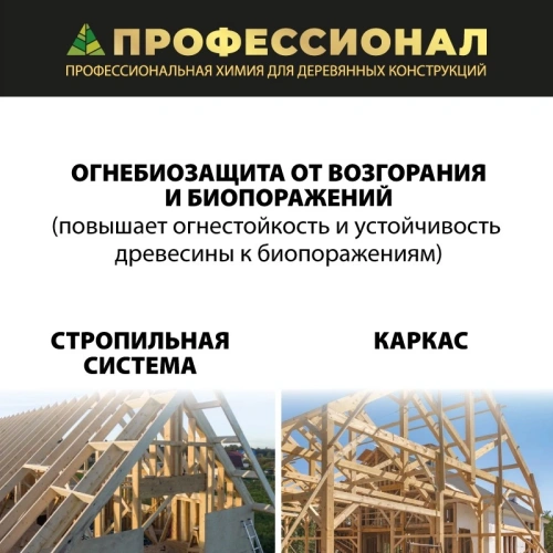 картинка Огнебиозащита ПРОФЕССИОНАЛ FIRE-BIO 2 группа защиты, концентрат 1:9 с красным контролем нанесения 20л от магазина Румлес