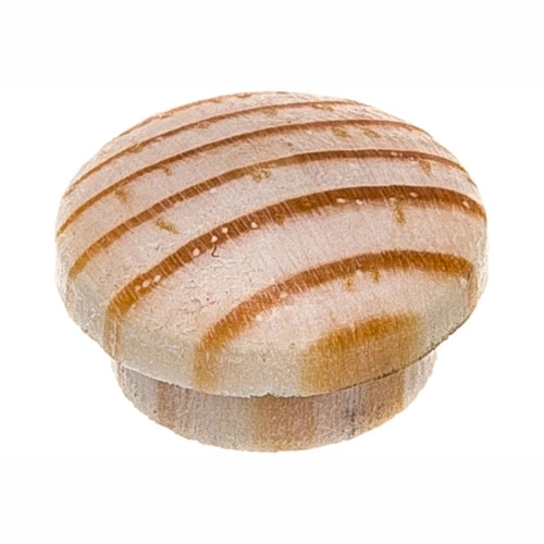 картинка Заглушка на отверстие ПРОФЕССИОНАЛ сфера D12мм сосна (30шт/уп) от магазина Румлес