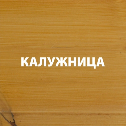 картинка Гибридный лессирующий антисептик для дерева Акватекс Викинг калужница 2.5л от магазина Румлес