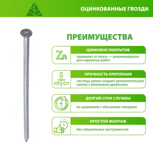 картинка Гвозди оцинкованные 2.5*50мм от магазина Румлес