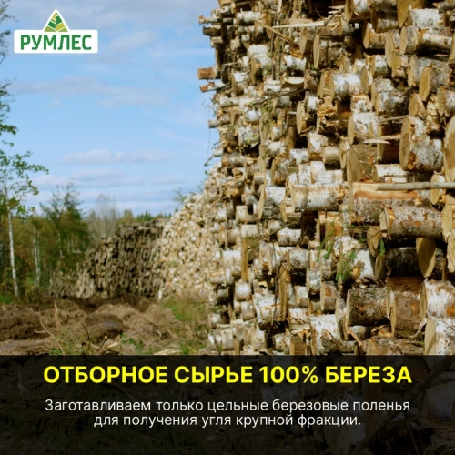 картинка Уголь березовый Отборный 3 кг от магазина Румлес
